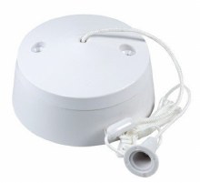 Picture of 10A 2 Way Pull Switch